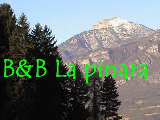 B&B La Pinara Trient Zimmer foto
